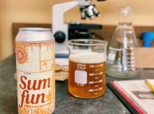 图像的Sum Fun IPA -斐波那契序列courtesy of Oakshire Brewing